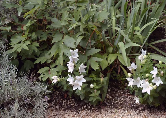 La Demeure De L'ile 4*