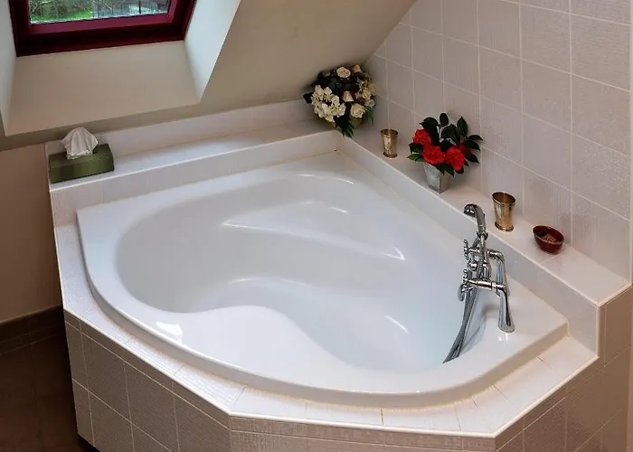 La Demeure De L'ile B&B Craon (Mayenne)