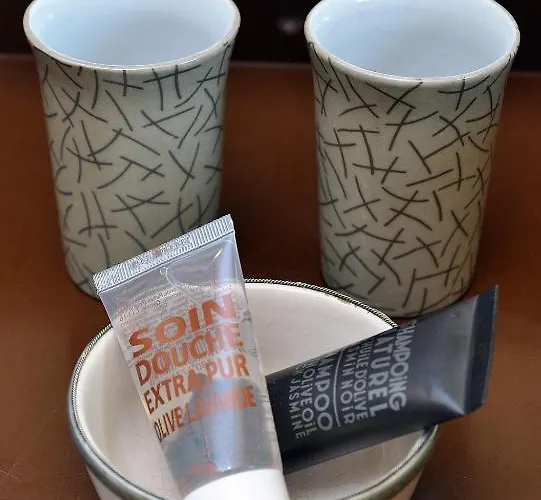 La Demeure De L'ile 4* Craon (Mayenne)